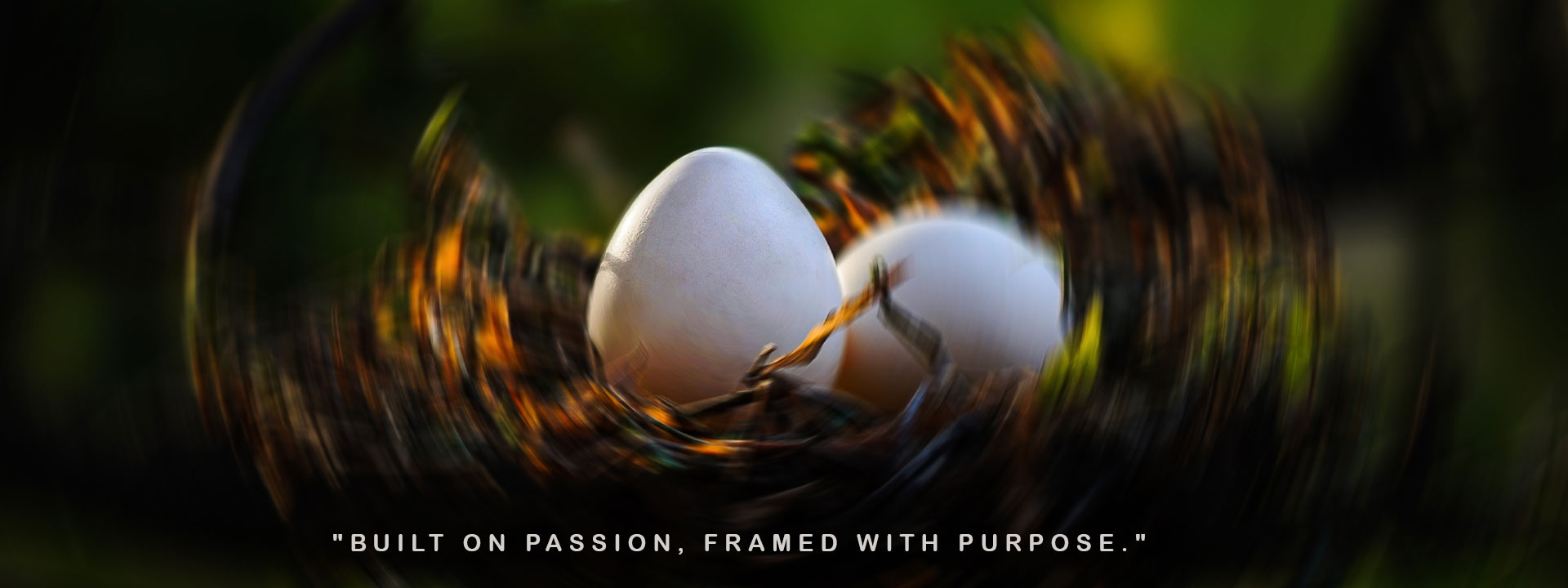 "Two white eggs nestled in a bird's nest with blurred foliage background, symbolizing growth, purpose, and creativity. Text overlay reads: 'Built on passion, framed with purpose.'"